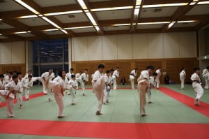 IMG 9089