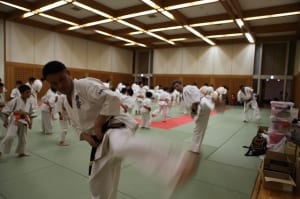 IMG 9091