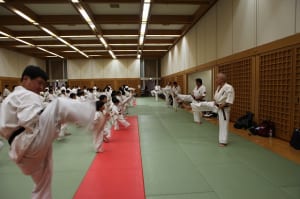 IMG 9093