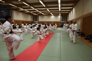 IMG 9094