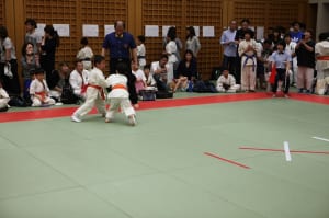 IMG 0698