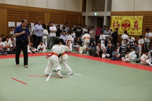 IMG 0700