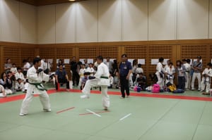 IMG 0704