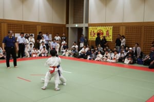 IMG 0706