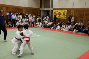IMG 0708