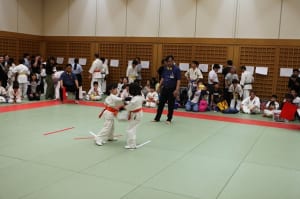 IMG 0710