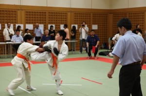 IMG 0747