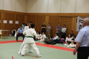 IMG 0754