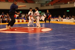IMG 0981