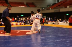 IMG 0982