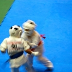 03190056