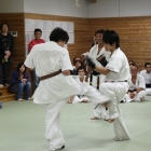 09syodanA_0520