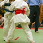 36siai0088