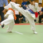 36siai0093