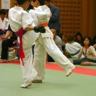 36siai0094