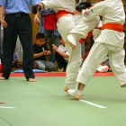 36siai0095