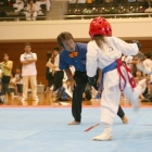 hukui-0342