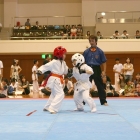 hukui-0343