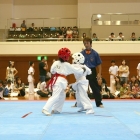 hukui-0344