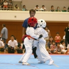 hukui-0345