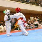 hukui-0347
