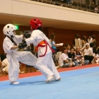 hukui-0348