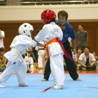 hukui-0349