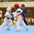 hukui-0350