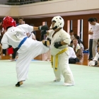hukui-0351