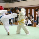 hukui-0352