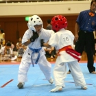 hukui-0355