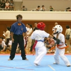 hukui-0356