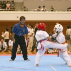 hukui-0357