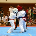 hukui-0361