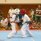 hukui-0362