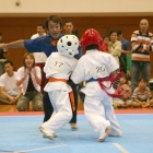 hukui-0363