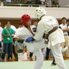 hukui-0372