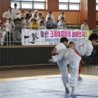 korea0064
