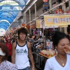 korea0266