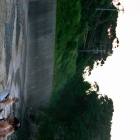 natutore_0154